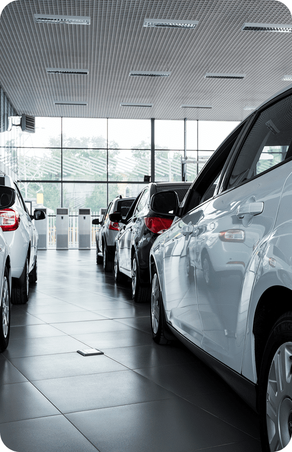 Line of cars parked inside a modern showroom with large windows.